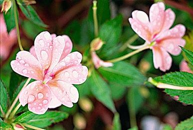 《大航海时代：起源》官方公布最新电影风格宣传片